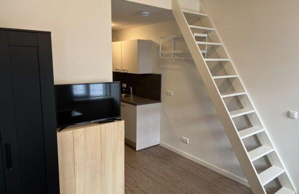 Strijpsestraat  Image 4