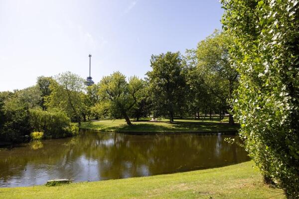 Calandstraat Image 26