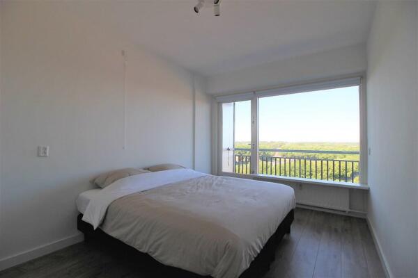 Burgemeester Hogguerstraat 1117 Image 9