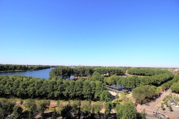 Burgemeester Hogguerstraat 1117 Image 14