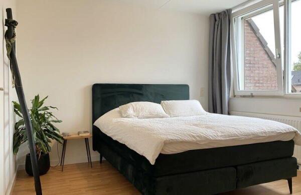 Generaal Stedmanstraat  Image 12