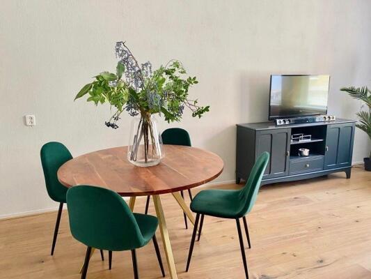 Mallemolen, Den Haag