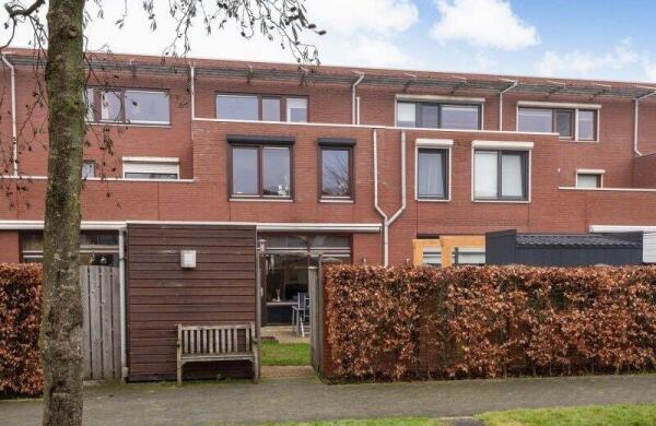 Graspieper  Image 20