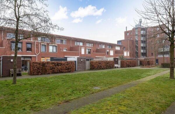 Graspieper  Image 21