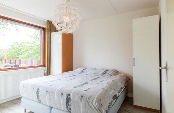 Graspieper  Image 16