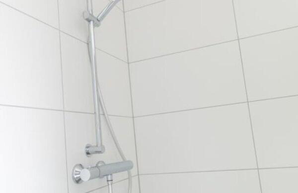 Graspieper  Image 21