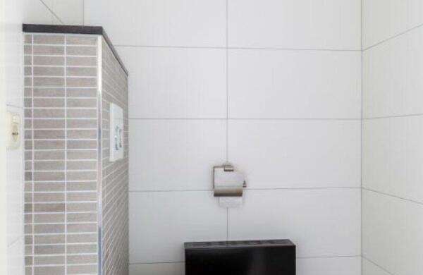 Graspieper  Image 22