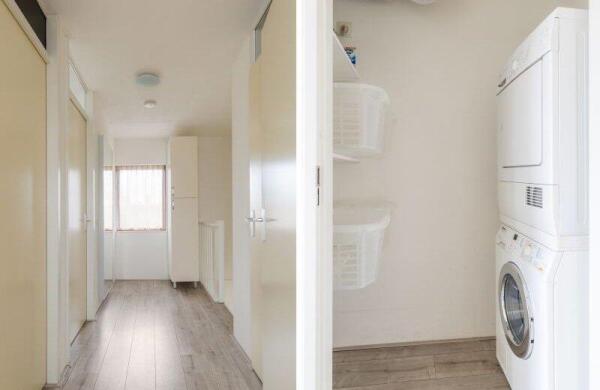 Graspieper  Image 23