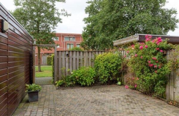 Graspieper  Image 31