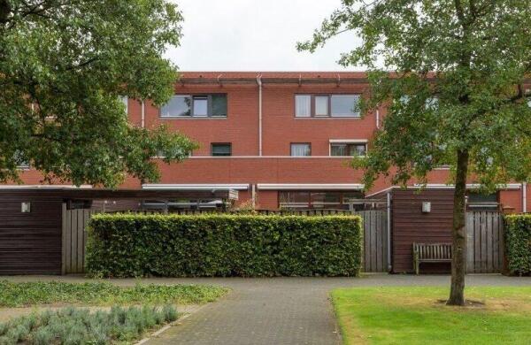 Graspieper  Image 32