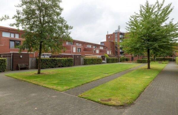 Graspieper  Image 33