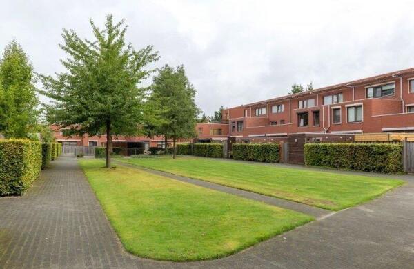 Graspieper  Image 34