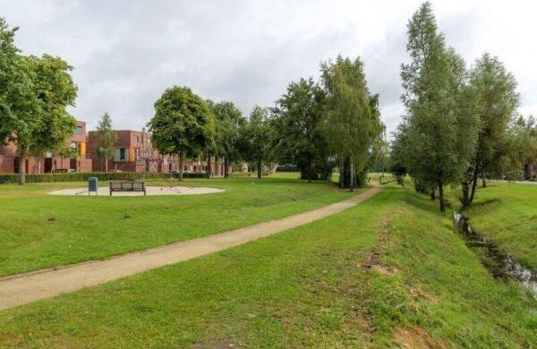 Graspieper  Image 35