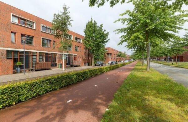 Graspieper  Image 36