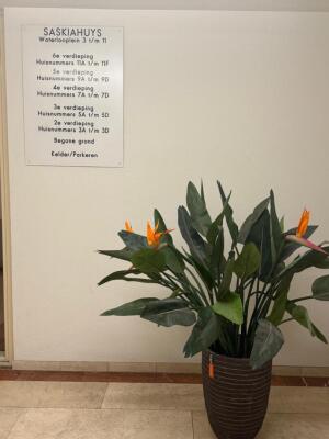 Waterlooplein Image 15