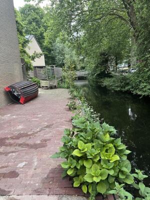 Bizetstraat Image 12