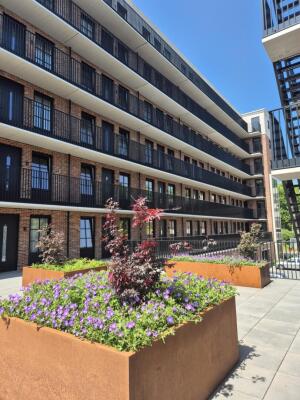 Singravenlaan Image 1