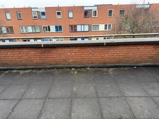 F. Bordewijkhof Image 15