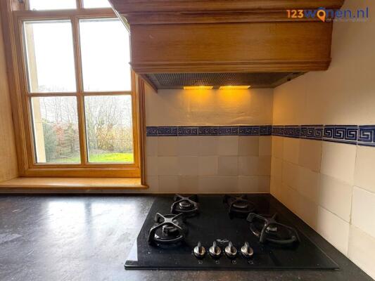 Tsjerkebuorren Image 12