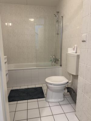 Metslawierstraat Image 16