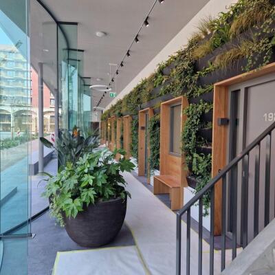 Madridstraat Image 13