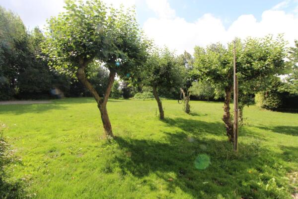 Groenedijkje Image 23