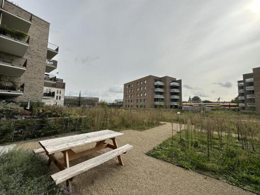 Noorderhavenstraat Image 22