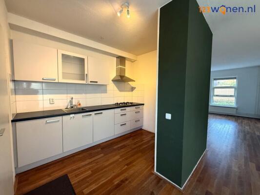 De Nova Cura Image 4