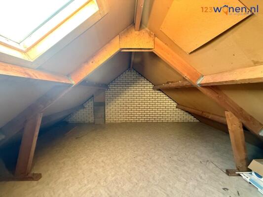 De Nova Cura Image 17