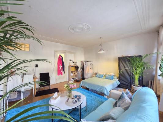 Samuel Mullerplein Image 4