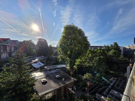 Samuel Mullerplein Image 13