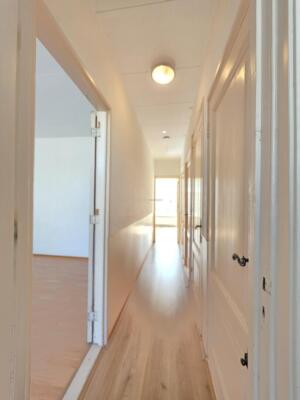 Erasmusstraat Image 14