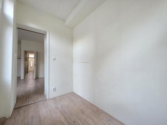 Erasmusstraat Image 14