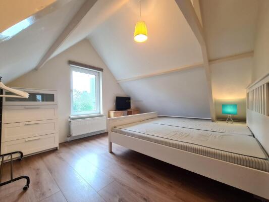 Proveniersstraat Image 8