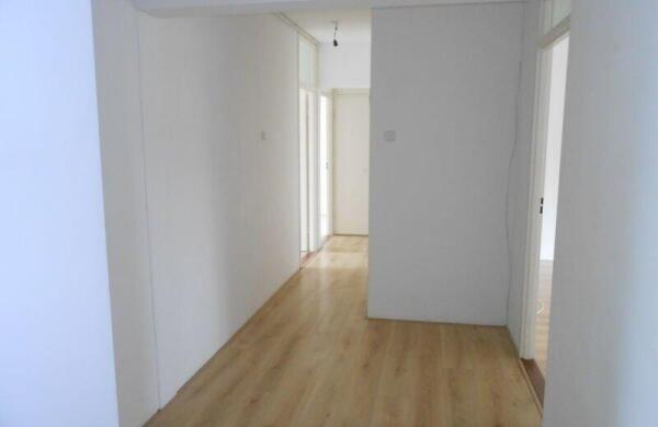 Graaf Adolfstraat  Image 0