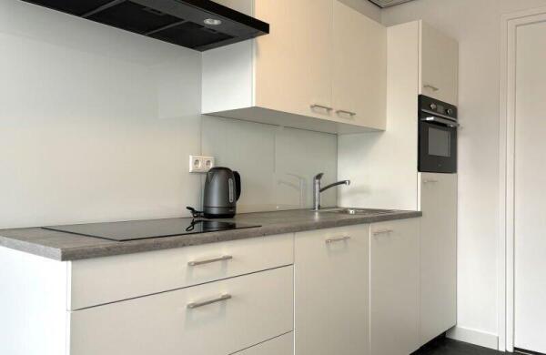 Willem de Zwijgerstraat  Image 6