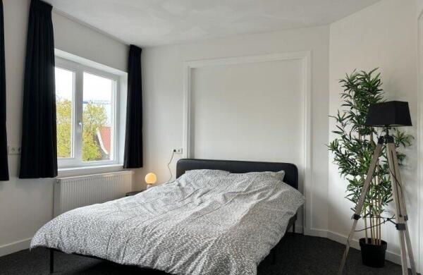 Willem de Zwijgerstraat  Image 11