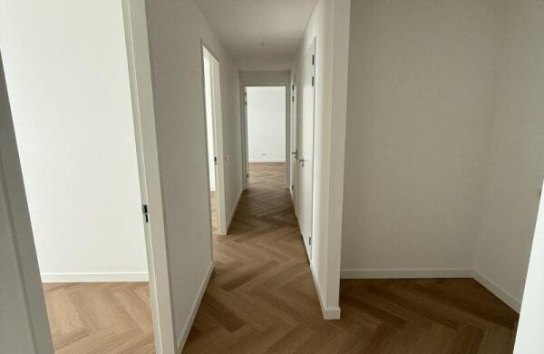 Deken van Somerenstraat  Image 0