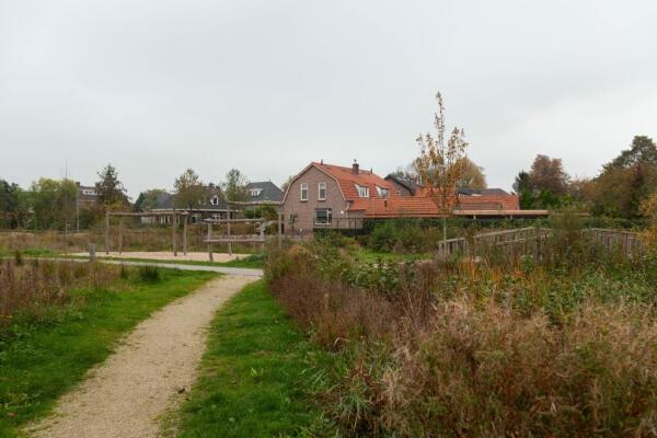 Dijk Image 32