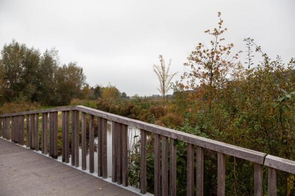 Dijk Image 33