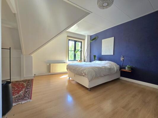 Westinghousestraat Image 9