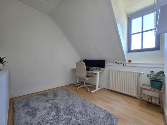 Westinghousestraat Image 10