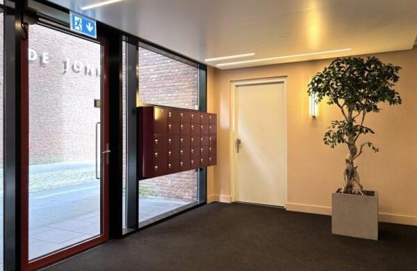 Lichtstraat  Image 5