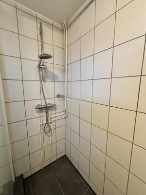 James Ross-Straat Image 5