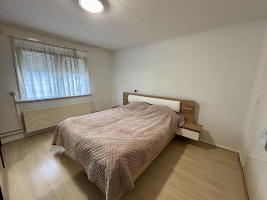 James Ross-Straat Image 6