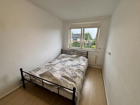 James Ross-Straat Image 8