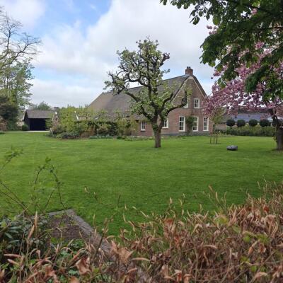 Brinkstraat Image 3