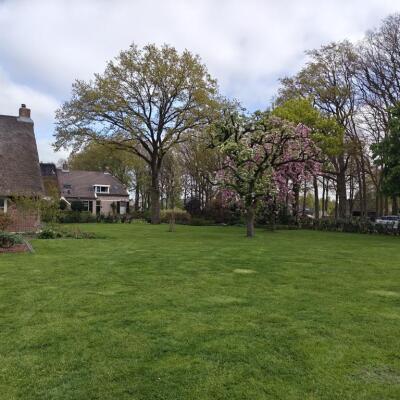 Brinkstraat Image 7