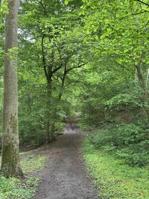 Sint Catharinastraat Image 6