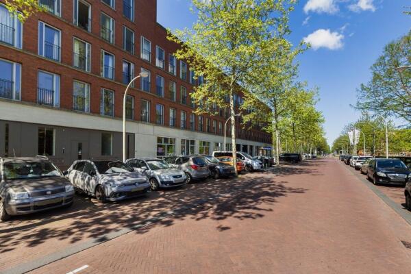 Steentijdsingel Image 0